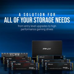 PNY CS900 250GB SSD DİSK 535/500MB/s 2,5'' SATA3 SSD (SSD7CS900-250-RB)