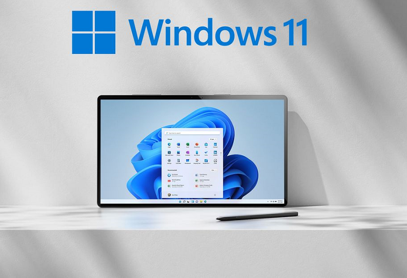 windows 11